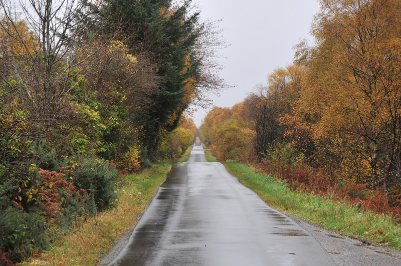 moss cottage - road across moss of achnacree geograph